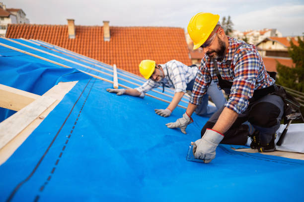 Roof Gutter Cleaning in Garwood, NJ
